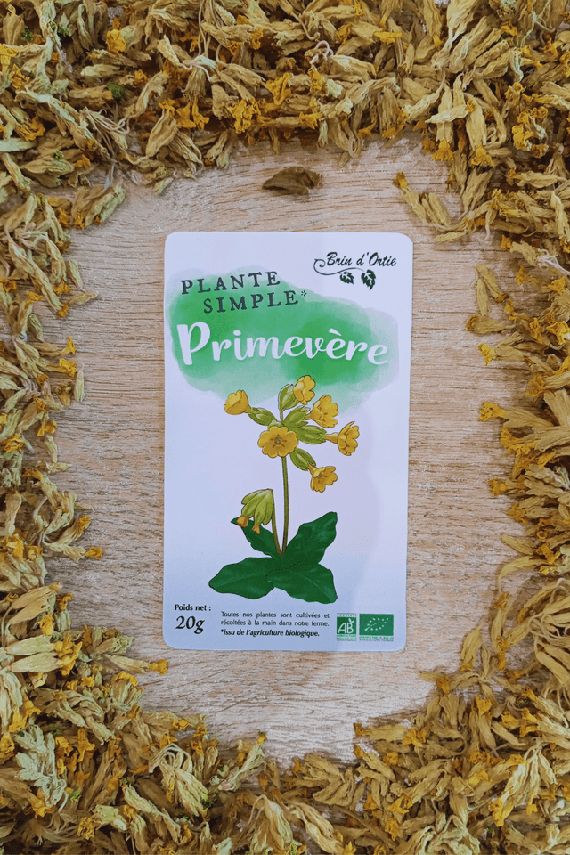 Fleur simple, Primevère