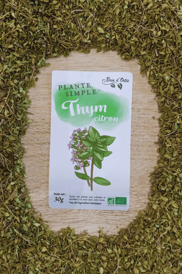 Plante simple, Thym citron