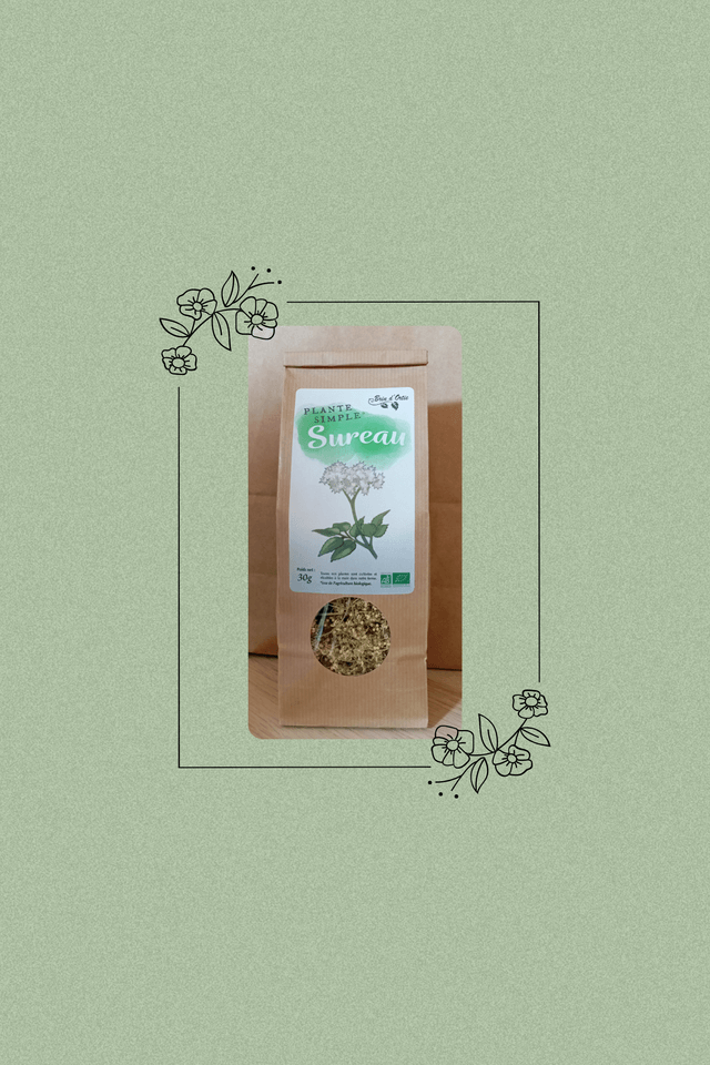 Fleur simple, Sureau