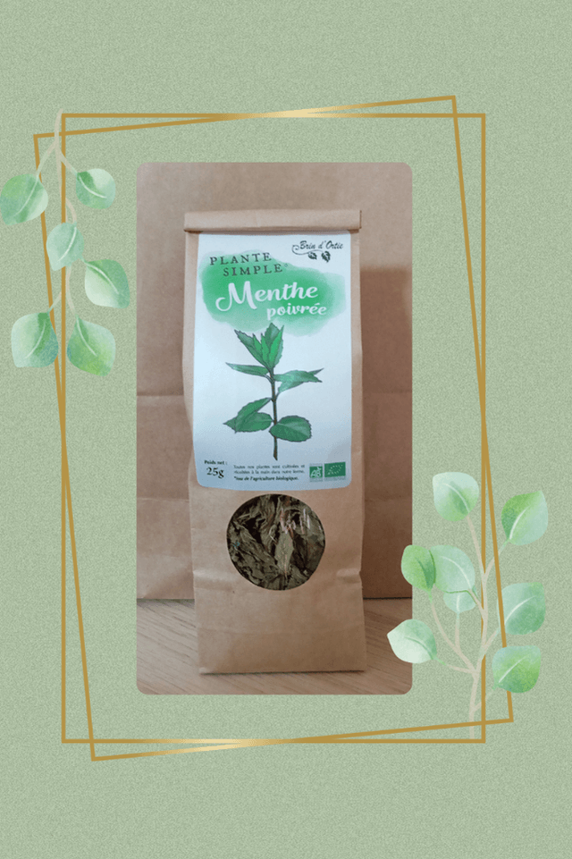 Plante simple, Menthe poivrée