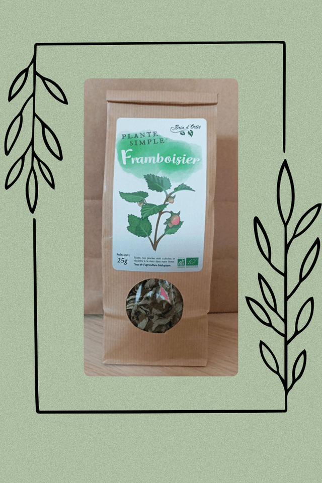 Plante simple, Framboisier