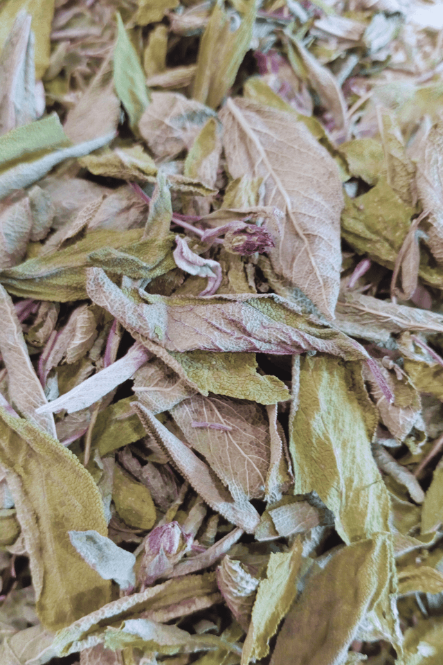 Plante simple, Sauge officinale