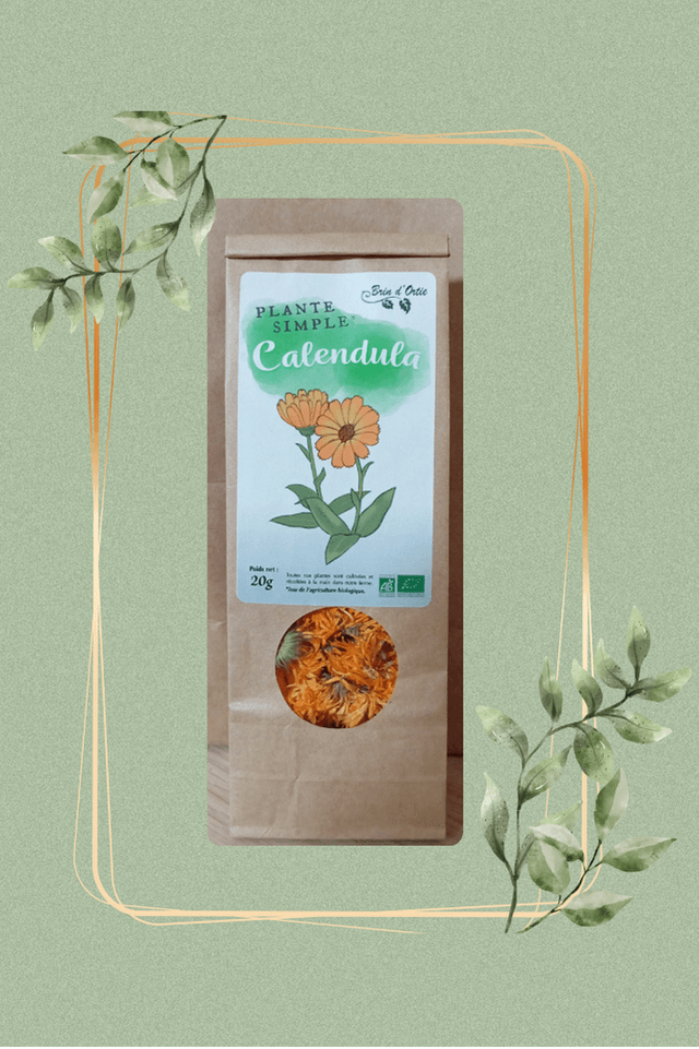 Fleur simple, Calendula