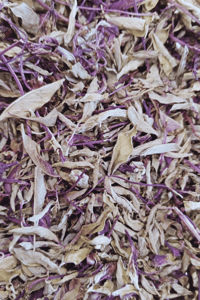 Plante simple, Basilic thai
