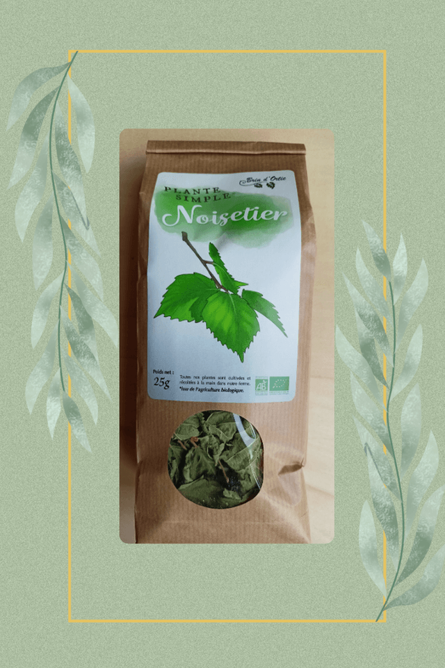 Plante simple, Noisetier