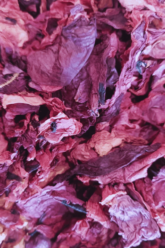 Fleur simple, Coquelicot