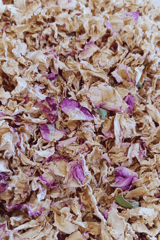 Fleur simple, Rose