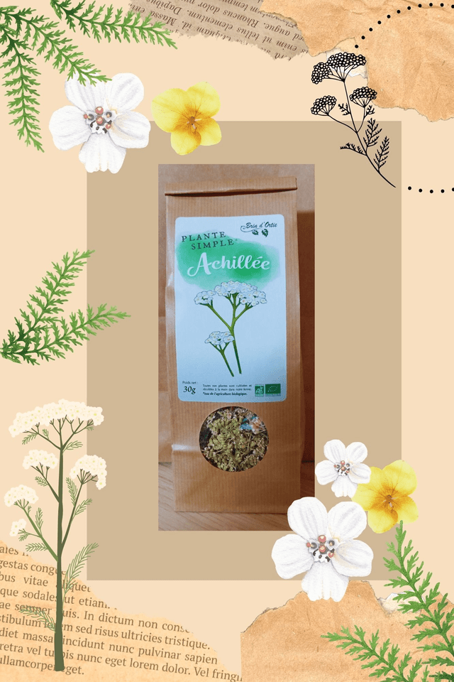 Fleur simple, achillée