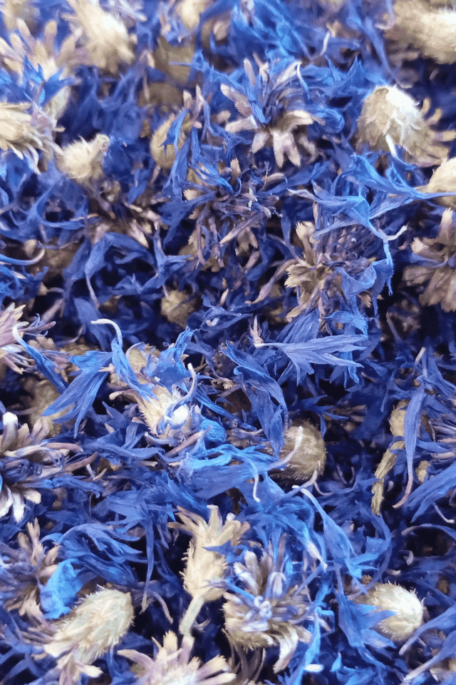 Fleur simple, Bleuet