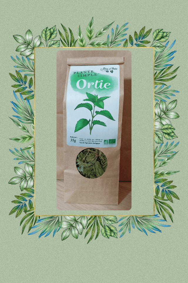 Plante simple, Ortie
