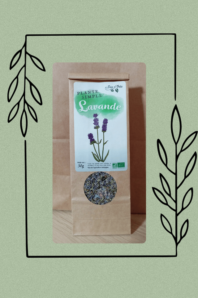 Fleur simple, Lavande