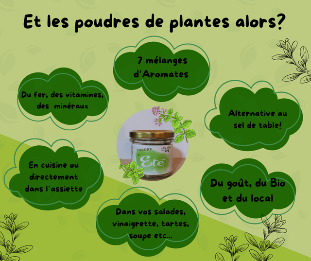 Poudre d'hiver