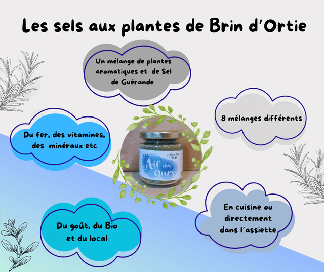 Sel ail des ours
