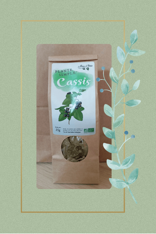 Plante simple, Cassis