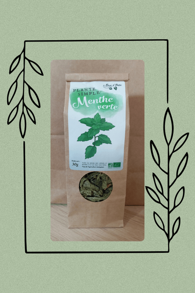 Plante simple, Menthe verte