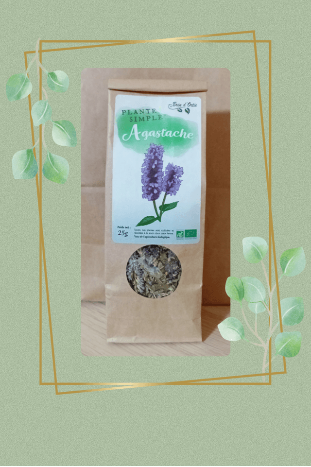 Plante simple, Agastache