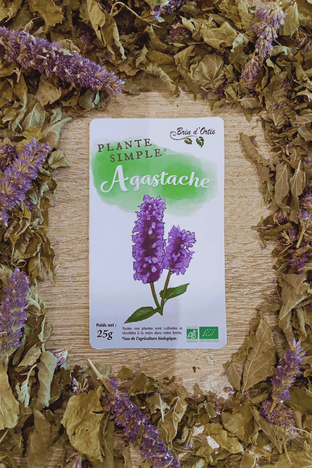 Plante simple, Agastache