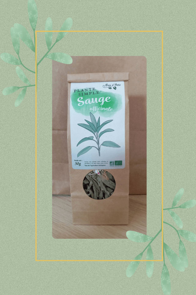 Plante simple, Sauge officinale
