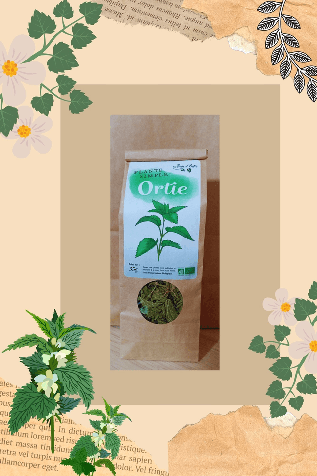 Plante simple, Ortie